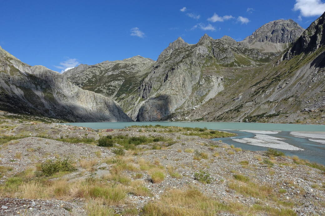 Kuppige Grundmoränenlandschaft mit vielfältiger Vegetation im Feinschutt am Südufer des Triftsees